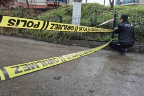 Bartın Irmağı taştı