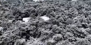 Başakşehir Şamlar Tabiat Parkı beyaza büründü