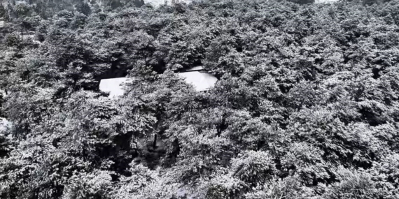 Başakşehir Şamlar Tabiat Parkı beyaza büründü