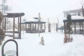 Başkale’de kar yağışı başladı