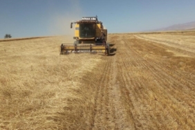 Bayburt’ta besici ve yetiştiricilere yemlik arpa satışı yapılacak