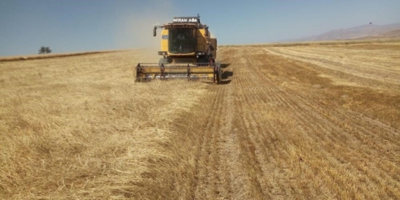 Bayburt’ta besici ve yetiştiricilere yemlik arpa satışı yapılacak