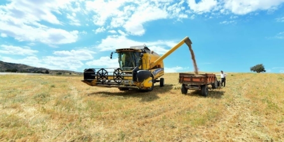 Bayburt’ta üreticiye yüzde 40 devlet katkılı yem desteği verilecek