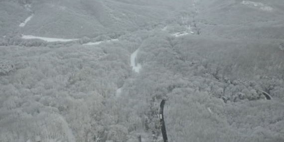 Beyaz örtüyle kaplanan Sarıyer havadan görüntülendi