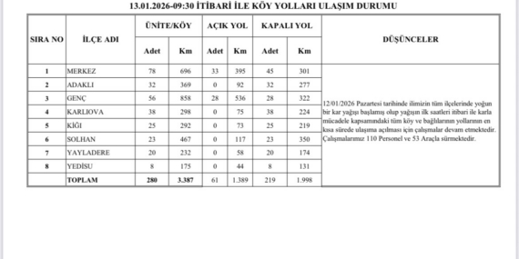 Bingöl genelinde karla mücadele sürüyor, 219 köy yolu kapalı