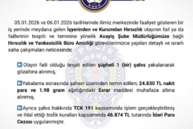 Bingöl’de hırsızlık yapan şüpheli tutuklandı