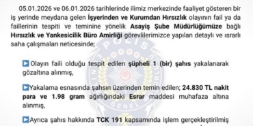 Bingöl’de hırsızlık yapan şüpheli tutuklandı