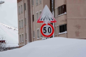 Bitlis kara gömüldü: 294 köy yolu ulaşıma kapandı