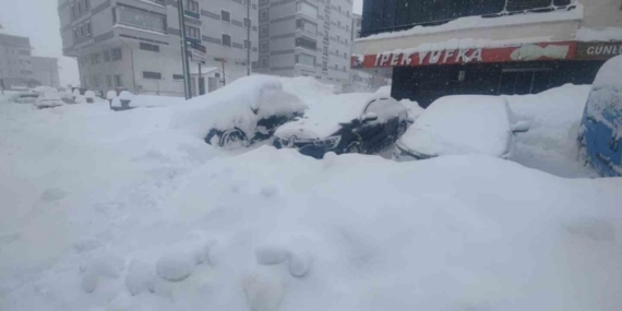 Bitlis’te kuvvetli kar, fırtına ve çığ tehlikesi uyarısı