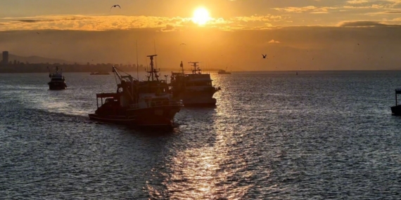 Boğaz’da fırtına sonrası balıkçılar yeniden denize açıldı
