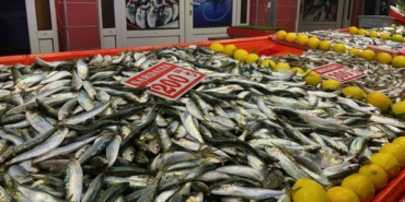 Bolu’da balık tezgahlarını fırtına vurdu