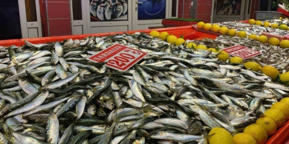 Bolu’da balık tezgahlarını fırtına vurdu