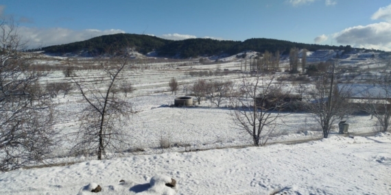 Buldan’da yılın ilk karı üreticileri sevindirdi