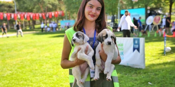 Bursa Büyükşehir Belediyesi patili dostların yanında