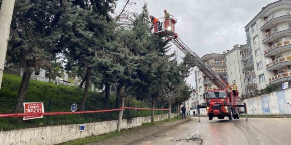 Bursa’da lodos ağacı devirdi, elektrik hatları zarar gördü