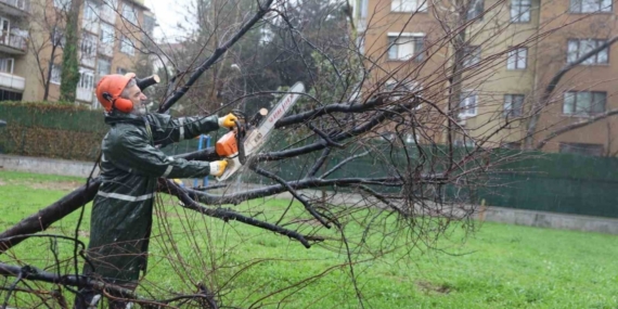 Büyükşehir ekipleri, şiddetli rüzgara karşı sahada
