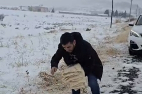 Çermik’te yaban hayvanları için doğaya yem bırakıldı