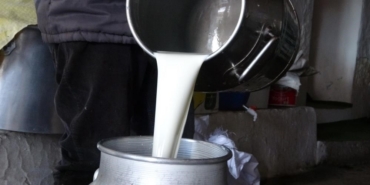 Çiğ süt fiyatları belli