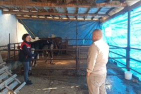 ÇMVA çalışmaları devam ediyor