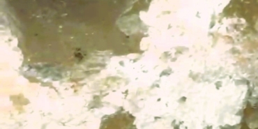 Defineciler 300 yıllık tarihi hamamı talan etti