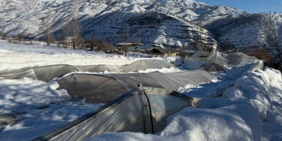 Derecik’te kardan dolayı 38 sera zara gördü