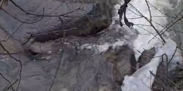 Dereli’de derede mahsur kalan köpek belediye ekiplerince kurtarıldı