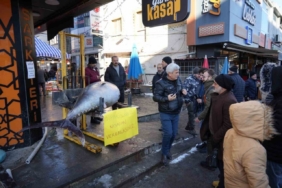 Dev Orkinos Erzincan’da olay oldu! Tezgâh önünde fotoğraf yarışı