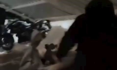 Dicle Üniversitesi’ndeki yurdun otopark çatısı çöktü