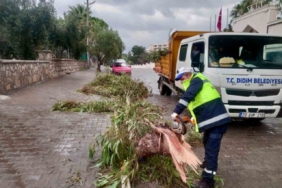 Didim Belediyesi sahada çalışmalarını sürdürüyor