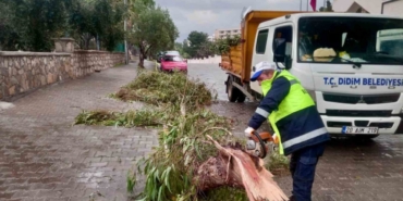 Didim Belediyesi sahada çalışmalarını sürdürüyor