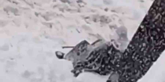 Diyarbakır’da kar çileye dönüştü