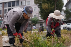 Düzce’nin park ve bahçeleri onlara emanet