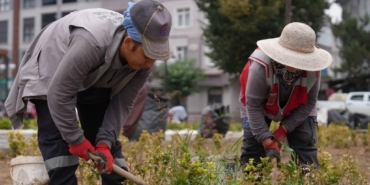 Düzce’nin park ve bahçeleri onlara emanet