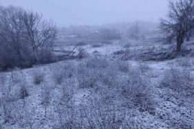 Edirne’nin Hamzabeyli köyünde kar yağışı başladı
