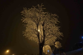 Elazığ’da ağaçlar kırağı tuttu