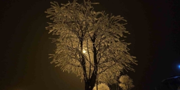 Elazığ’da ağaçlar kırağı tuttu