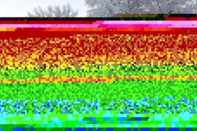 Elbistan-Çoğulhan karayolunda işçi servisi devrildi