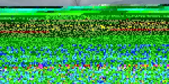 Enginar tarlaları incelendi, üreticiler, TARSİM hakkında bilgilendirildi