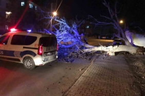 Ereğli’de şiddetli rüzgar ağaçları devirdi, çatıları uçurdu