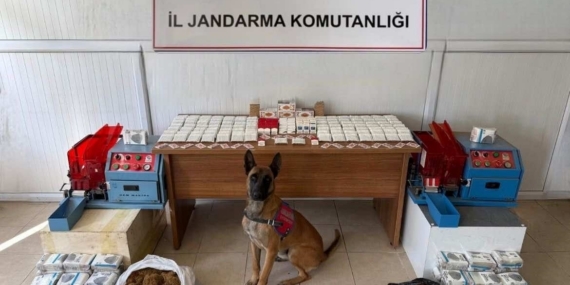 Erzincan İl Jandarma Komutanlığı’nın 2025 yılı faaliyet bilançosu açıklandı