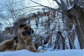 Erzincan’da doğa dondu, Girlevik Şelalesi buz kesti
