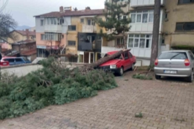 Gediz’de şiddetli rüzgar ağaçları devirdi, binalarda hasara sebep oldu