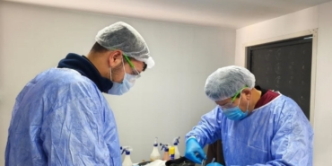 Germencik Belediyesi sokak hayvanları için kısırlaştırma çalışmalarını sürdürüyor