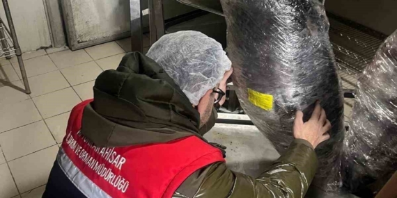 Gıda üretim ve satışı yapan işletmelerine yönelik denetim