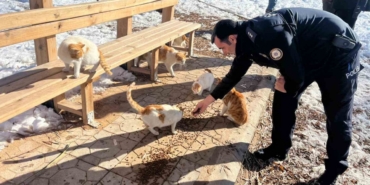 Gölbaşı ilçesinde polisler sokak hayvanları için mama bıraktı