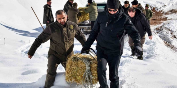 Gümüşhane’de aç kalan yaban hayvanları için seferberlik