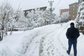 Hakkari’de 310 yerleşim yeri ulaşıma açıldı