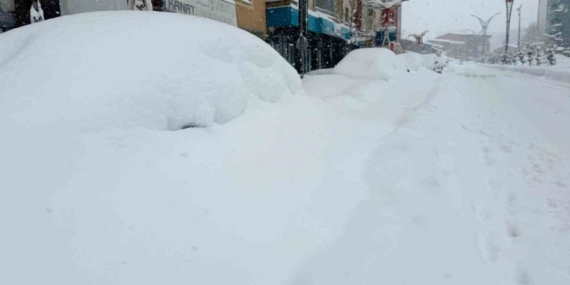 Hakkari’de 357 yerleşim yerinin yolu kapandı