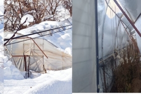 Hakkari’de kar seraları çökertti