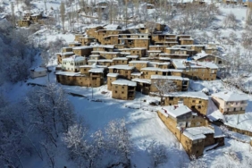 Hizan’ın taş evleri kar altında kartpostallık görüntüler oluşturdu